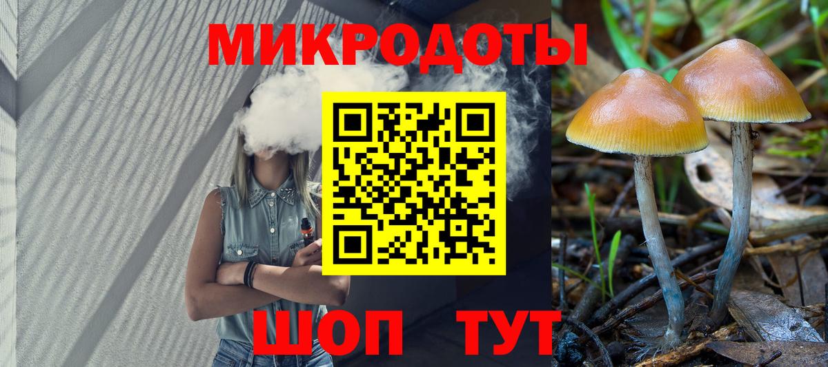 Псилоцибиновые грибы MAGIC MUSHROOMS Дмитров